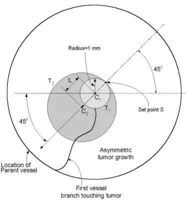 Fig. 2. Two-dimensional model geometry for asymmetri-cal tumor growth.