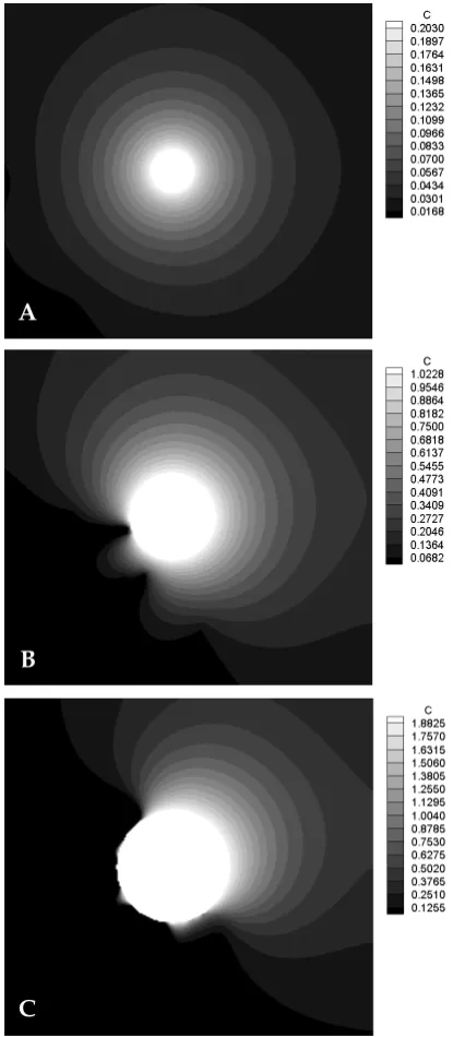 Fig. 4. Contours of concentration gradient for bFGF(relative to bFGF concentration for a tumor radius of 1.0mm at t=2,590 h) over time for the standard case of sym-metrical tumor growth