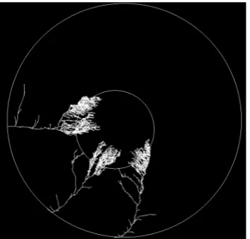 Fig. 8. Contours of concentration gradient for bFGF(relative to bFGF concentration for a tumor radius of 1.0mm at t=2,590 h) at t=3,000 h for asymmetrical growth.