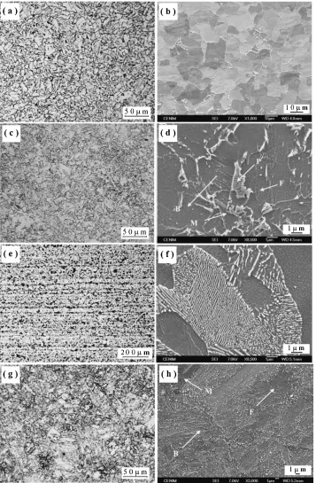 Fig. 1Light optical micrographs and scanning electron micrographs of hot rolled specimens parallel to the rolling direction:(a)(b) Sample S1: CR ¼ 7�C/s, CT ¼ 500�C; (c)(d) Sample S2: CR ¼ 60�C/s, CT ¼ 500�C; (e)(f) Sample S3: CR ¼ 7�C/s, CT ¼650�C; (g)(h)