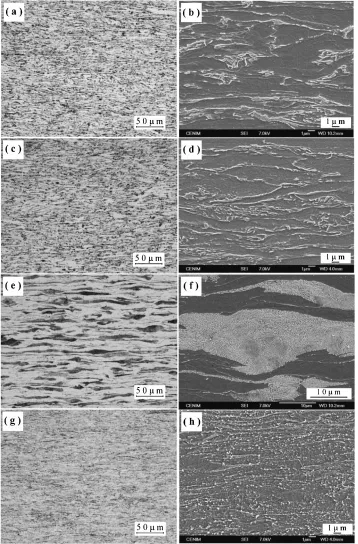 Table 2Characterisation of banded ferrite-pearlite microstructures in hot and cold rolled samples