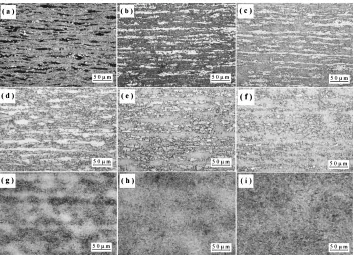 Fig. 3Optical micrographs from intercritical annealed samples: (a) at 750�C for 1 s; (b) at 750�C for 20 s; (c) at 750�C for 100 s;(d) at 800�C for 1 s; (e) at 800�C for 20 s; (f) at 800�C for 100 s; (g) at 850�C for 1 s; (h) at 850�C for 20 s; (i) at 850�