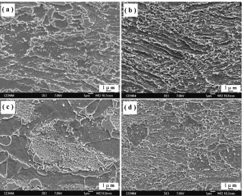 Fig. 5Evolution of (a) austenite volume fraction and (b) austenite grain size during intercritical annealing