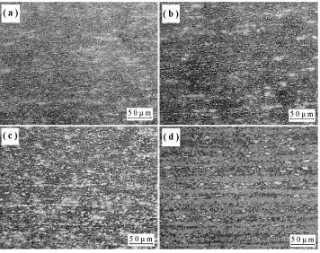 Fig. 7Evolution of microstructural banding during intercritical annealing in sample S4 (CR ¼ 60�C/s, CT ¼ 650�C): (a) 750�C, 20 s;(b) 750�C, 100 s; (c) 800�C, 1 s; and (d) 800�C, 20 s