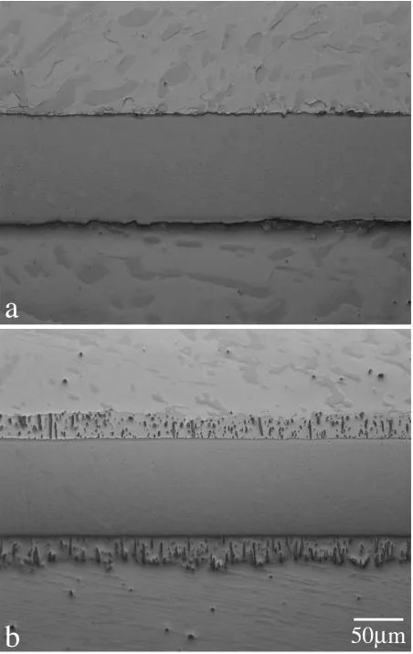 Fig. 2Back-scattered electron images of cross-sections for the Sn–5Audiﬀusion couples annealed at T ¼ 473 K for (a) t ¼ 48 h (1:73 � 105 s)and (b) t ¼ 722 h (2:60 � 106 s).