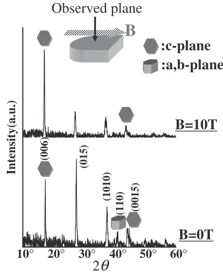 Fig. 3XRD patterns of green samples obtained with and without highmagnetic ﬁeld.
