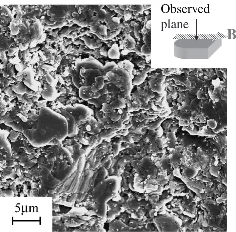 Fig. 8SEM observation on the cross-section of the sintered compactwithout aligned crystals.