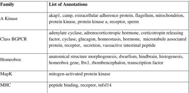Table 4.3. Final list of annotations for each family 
