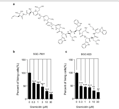 Fig. 1 The chemical structure of gramicidin and its toxic effect on gastric cancer cells SGC-7901 and BGC-823 cells proliferation