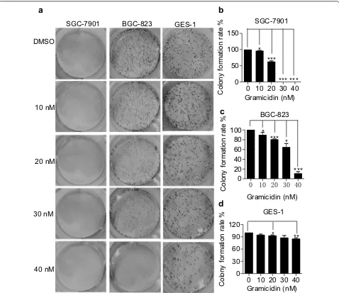 Fig. 2 Inhibitory effect of gramicidin on gastric tumor SGC-7901, BGC-823 and GES-1 cells proliferation