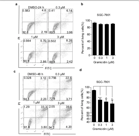 Fig. 3 Gramicidin induced apoptosis in SGC-7901 cells. SGC-7901 cells were treated with 0, 0.3, 1 and 3 μM of gramicidin respectively for independent experiments (n a 24 h and c 48 h, and were then subjected to Annexin V-FITC/PI staining, followed by flow 