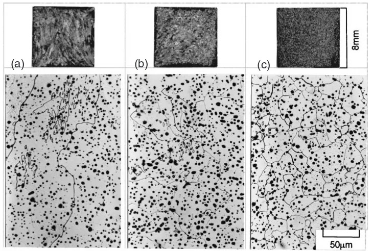 Fig. 4Microstructures and macrostructures of ferrite in sintered carbonyl-iron powder compacts prepared for Fig