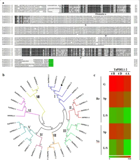 Fig. 3 Domains, phylogenetic relationships and expression profiles of TaPDIL1-2. a Putative amino acid sequence of the protein encoded by the isolated TaPDIL1-2 in this study