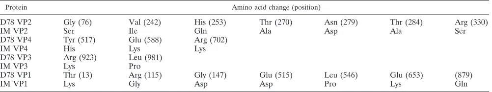 TABLE 1. Location of amino acid changes in VP2, VP4, VP3, and VP1 proteins of IBDV strains D78 and IM