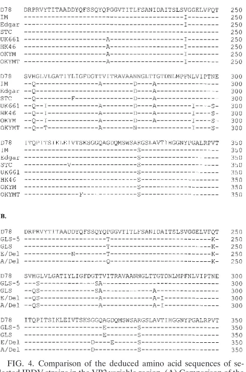 FIG. 4. Comparison of the deduced amino acid sequences of se-lected IBDV strains in the VP2 variable region