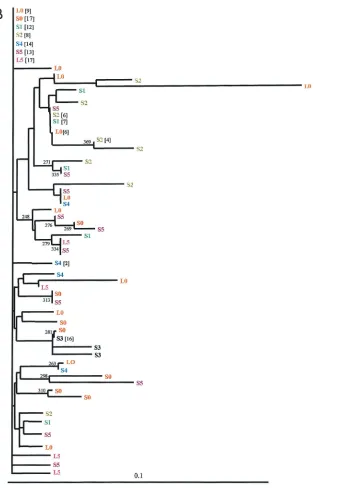 FIG. 2—Continued.