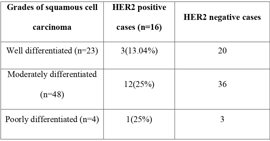 Table  11: Correlation of HER2/neu expression with grades of squamous  