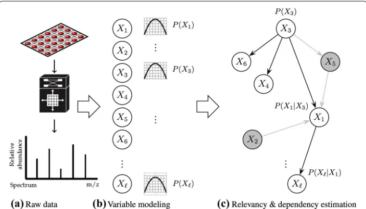 Fig. 1 Depiction of simultaneous variable selection and dependency estimation in data mining