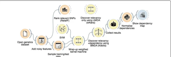 Fig. 4 The visual program implementingthe left–hand side of the canvas provide the required input (data sampling, kernel machine setup, etc.) forthe central Kiedra in the Orange/Goldenberry workbench