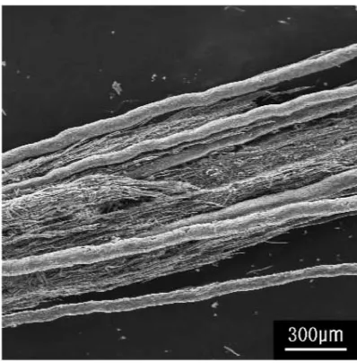 Fig. 6SEM images of the Al ﬁbers.