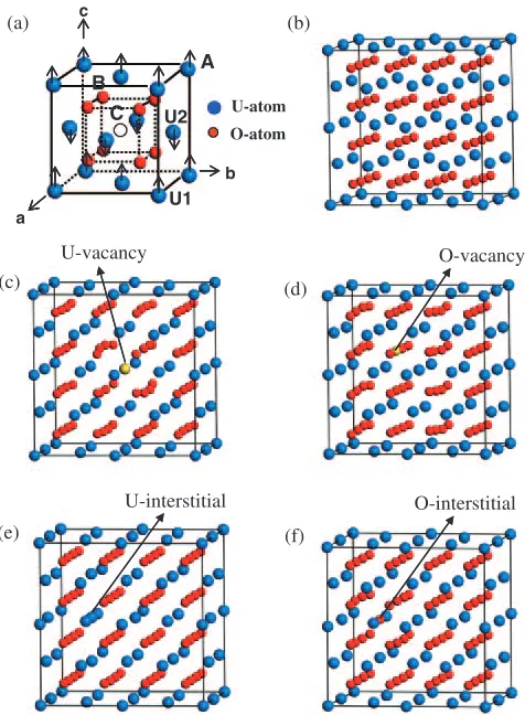 Fig. 1Calculation systems. (a) Unit cell of ideal UO2 crystal, and relaxeddefect systems in U32O64 supercell: (b) Ideal, (c) U-vacancy, (d) O-vacancy, (e) U-interstitial, and (f) O-interstitial.