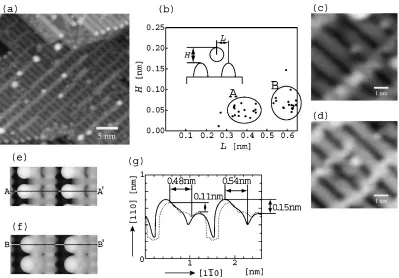 Fig. 4(a) The experimental STM image of Au deposited on the cross-linked 1 � 2 TiO2(110) surface