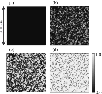 Fig. 5Microstructural evolution process during annealing operation at T ¼ 1:0 quenched from T ¼ 2:0