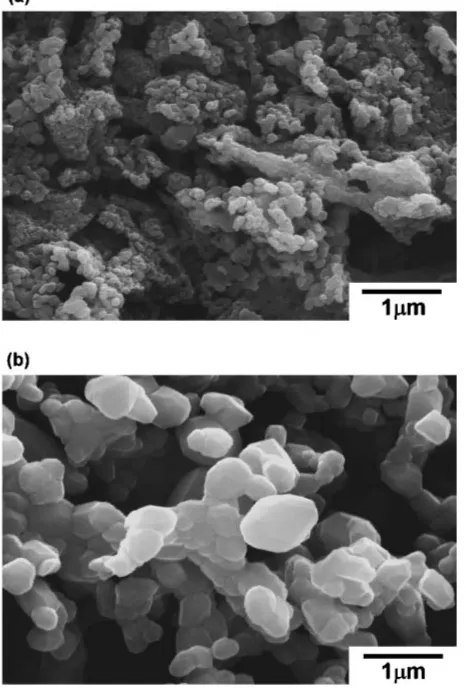 Fig. 1SEM photographs of LiMn2O4: (a) LMO600 and (b) LMO800.