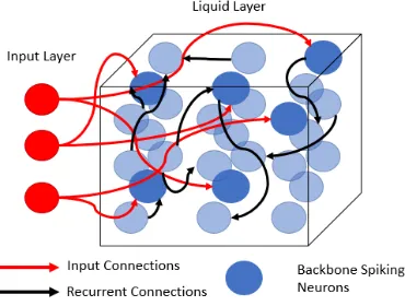 Figure 3.7: A percentage of neurons in the liquid layer are randomly selected as backboneneurons
