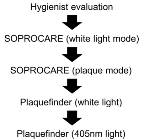Fig. 2 Image acquisition process during clinical study