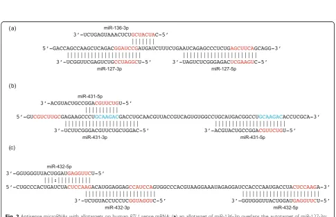Fig. 1 The location of tandem repeats (A–D) within the protein-coding region of the sense strand (above) and of microRNAs on the antisensestrand (below) of (a) human RTL1 and (b) mouse Rtl1
