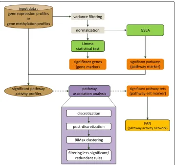 Fig. 1 The overall workflow for pathway association mining approach in our study