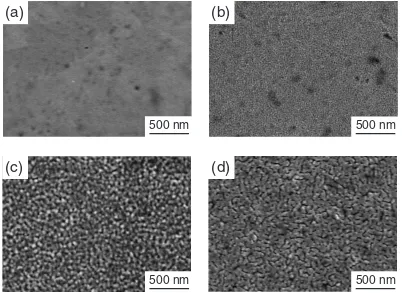 Fig. 7SEM images of surface morphology of SRO thin ﬁlms prepared at PO2 ¼ 13 Pa and Tsub ¼ 298 K (a), 773 K (b), 973 K (c)and 1073 K (d).