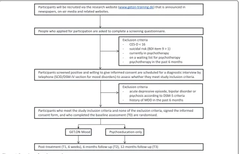 Figure 1 Overview of study procedure.