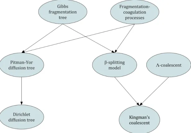 Figure 3.6: A graph visualization of the relationships between various tree priors. Directed arrows represent specific cases of a distribution or model.