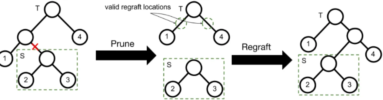 Figure 3.8: Visualization of a subtree-prune and regraft move for a tree with four leaves