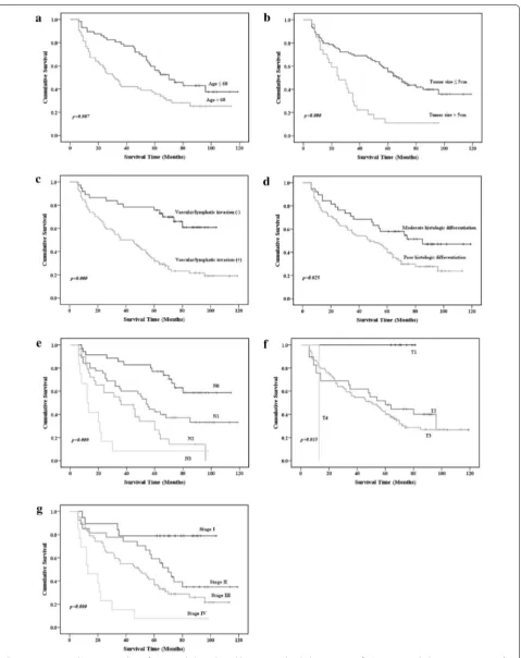 Fig. 5 Univariate Kaplan–Meier analysis of clinicopathological variables associated with the prognosis of GC patients, including a Age at surgery, btumor size, c Vascular/lymphatic invasion, d Histologic differentiation, e N stage, f T stage and g TNM stag