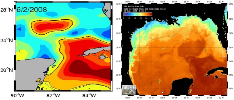 Fig. 1.Notice the 17-SSH contour (black line) suggests the Loop Current eddy (LCE) has already detached from the LC whereas the SST composite 1 7 −S S Hcontour (black line) suggests the Loop Current Eddy (LCE) has already dettached from (b), for 6 February