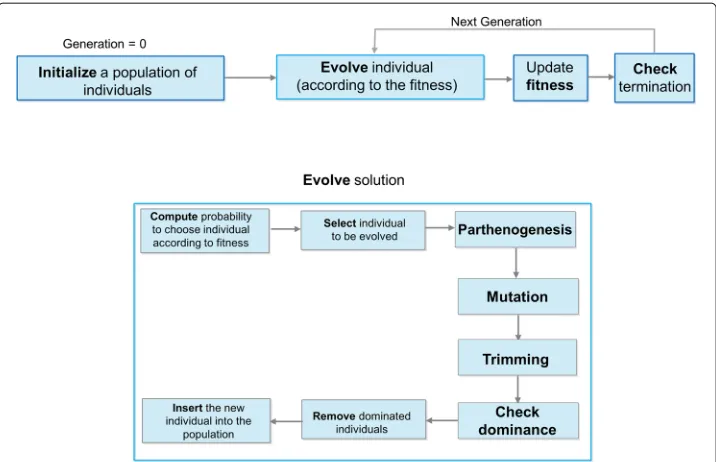 Fig. 1 Extended flowchart ofthe genetic algorithm: (i) initialization of a random population of individuals; (ii) evolution of the currentpopulation according to a set ofpopulation according to fitness function F and updating of the fitness value; (iv) che