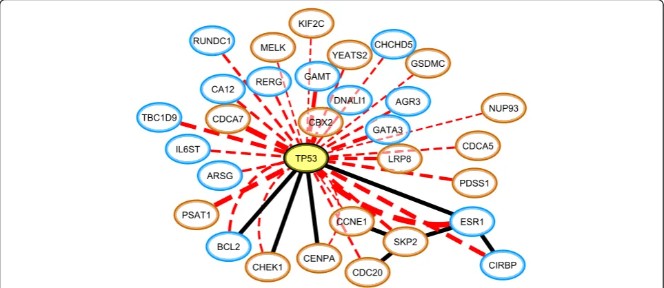 Fig. 6 The MLPH-FOXA1 subnetwork identified using the co-occurrence measures between different data sources