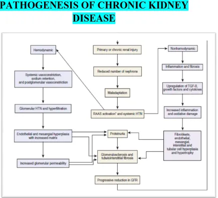 PATHOGENESIS OF CHRONIC KIDNEY  FIGURE.1 DISEASE