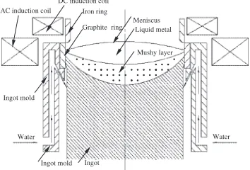 Fig. 1Schematic diagram of LFEVC process.