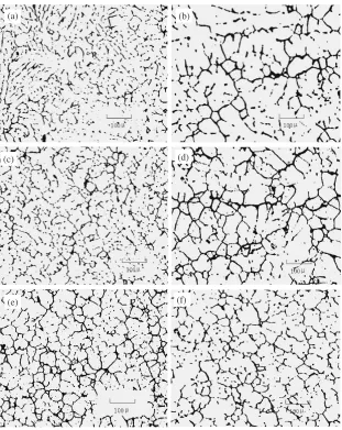 Fig. 4Microstructures of DC and LFEVC ingots (a) Edge and (b) center of DC ingot; (c) Edge and (d) center of LFEVC ingot with analternate electromagnetic ﬁeld: 6,600 At and a direct magnetic ﬁeld: 9,000 At; (e) Edge and (f) center of LFEVC ingot with an alternateelectromagnetic ﬁeld: 9,000 At and a direct magnetic ﬁeld: 14,300 At.