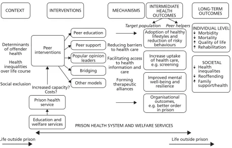 FIGURE 1 Preliminary logic model for the peers in prison settings study.