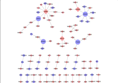 Fig. 5 Pathway-based gene-gene interaction network between gene expression profile and copy number data in breast cancer samples