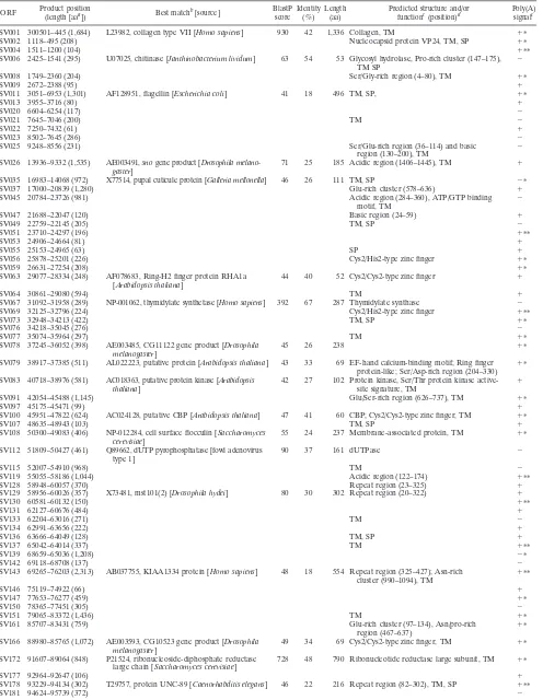 TABLE 1. Listing of potentially expressed ORFs in WSBV