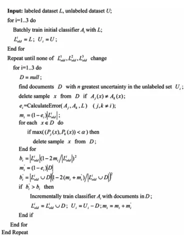 Fig. 1. Details of algorithm co-features.