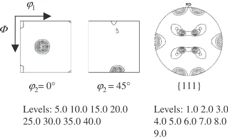 Fig. 2’2 ¼ 0� and ’2 ¼ 45� ODF sections and {111} pole ﬁgure ofrecrystallization texture of specimen cast in air, warm rolled by 95% at150�C and subsequently annealed as 150�C–10 min + 500�C–30 min +850�C–480 min.