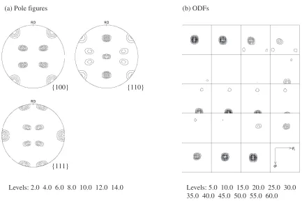 Fig. 8Recalculated pole ﬁgures and ODF map of recrystallization texture after two-step annealing 200�C–20 min + 800�C–180 min inspecimen cast in vacuum and warm rolled by 92% at 150�C.