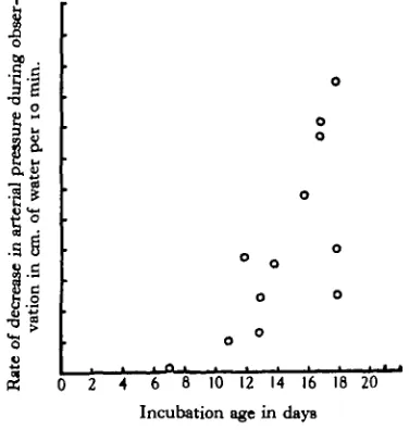 Fig. 3. Average rate of fall of arterial pressure during an individual experimentrelated to the age of the embryo.